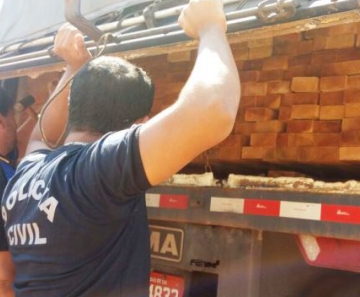 Operação da Dema fiscaliza transporte ilegal de madeiras em rodovias da região metropolitana