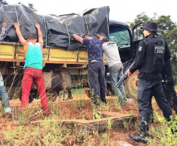 Quadrilha saqueia vagão de trem e furta 50 toneladas de soja em MT