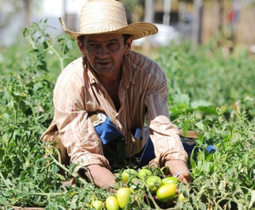 Brasil e Bolívia firmam acordo de cooperação no setor de agricultura familiar