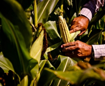 Agricultura Familiar e Regularização Fundiária em MT vão receber R 265