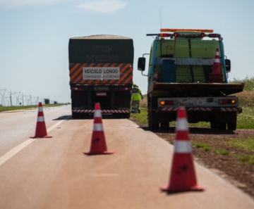 0305_cro_sul08052019_768x512